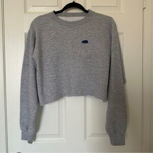 Brandy Melville Grey Cropped Sweatshirt Bear Embroidered Crewneck Raw Hem Y2K